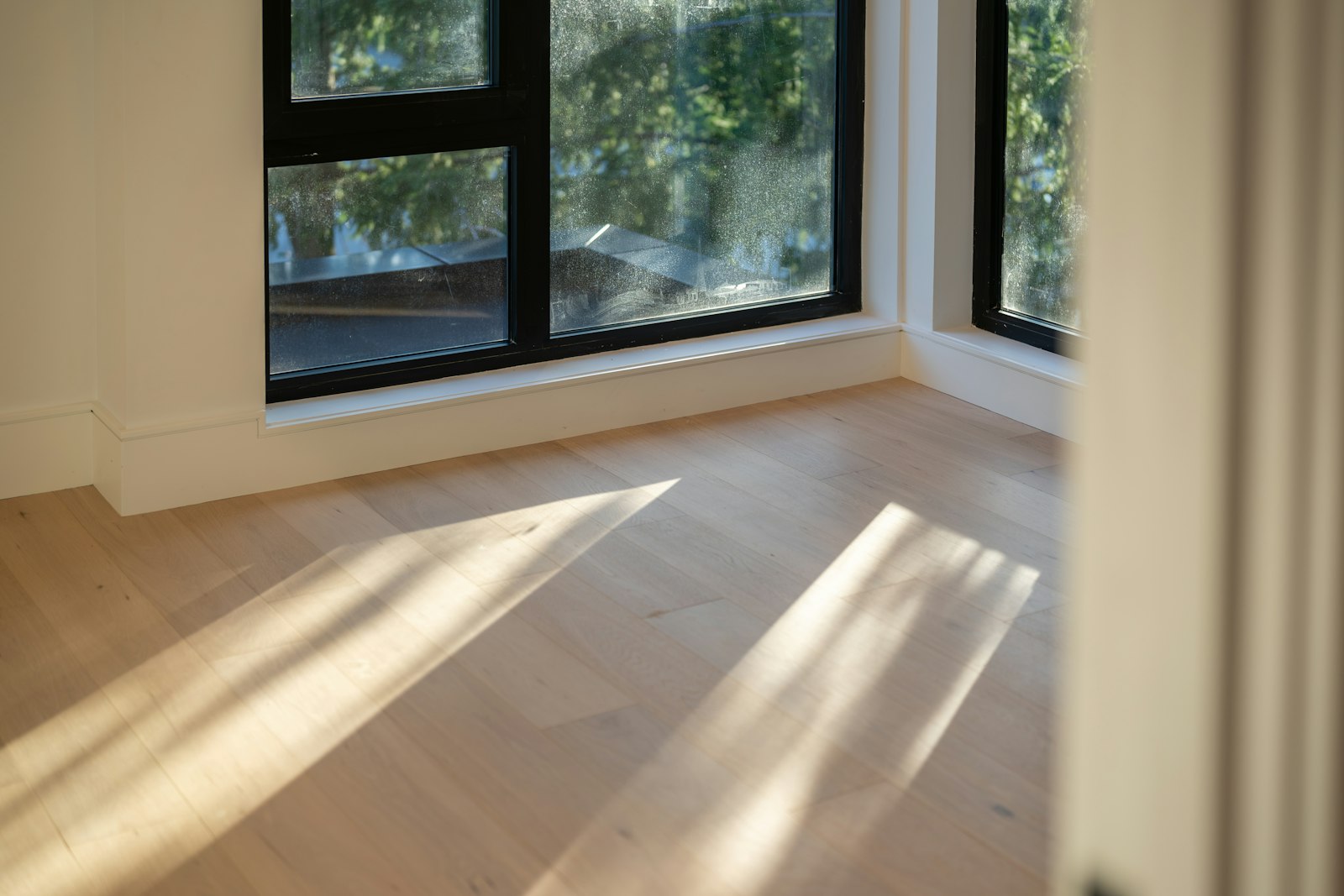 Sunlight across light wooden floorboards in a room with large windows