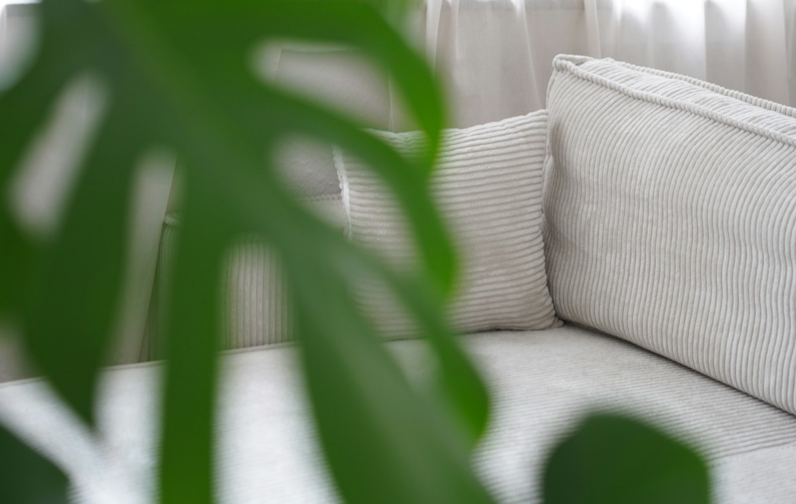 Light gray linen cushions on a sofa behind a green monstera leaf